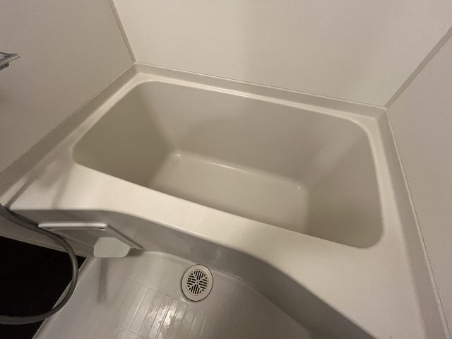 バス・シャワールーム　落ち着いた空間のお風呂です