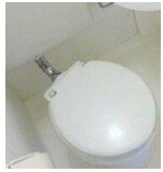 トイレ　トイレです