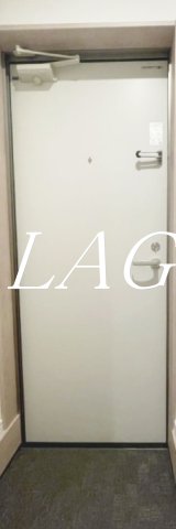 玄関　玄関です。（同仕様です。）
