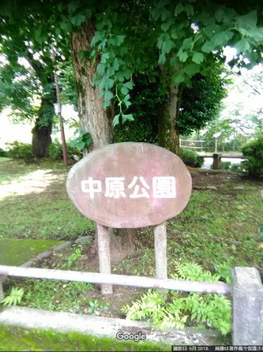 公園　中原公園（公園）まで1081m