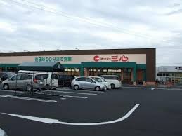 スーパー　スーパー三心玉ノ井店（スーパー）まで1136m