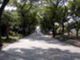 公園　住吉公園（公園）まで772m