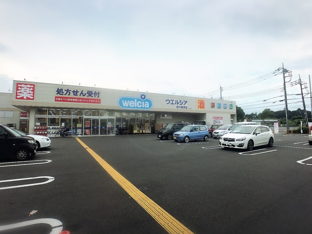 ドラックストア　ウエルシア龍ケ崎馴馬店（ドラッグストア）まで865m