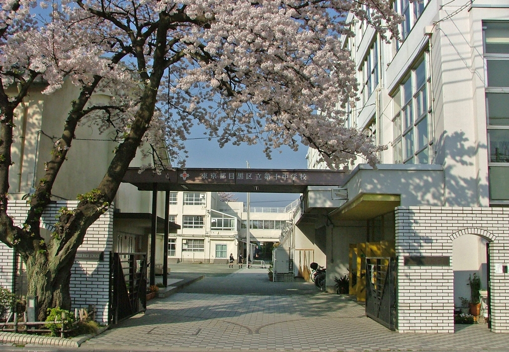 中学校　目黒区立第十中学校（中学校）まで238m
