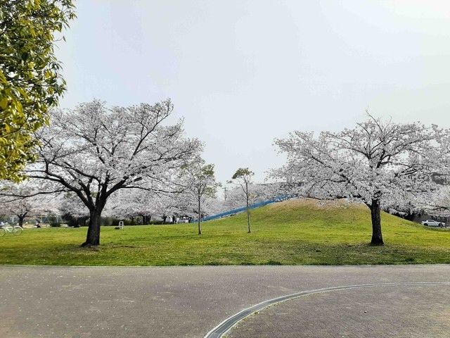 公園　葵が丘公園（公園）まで200m
