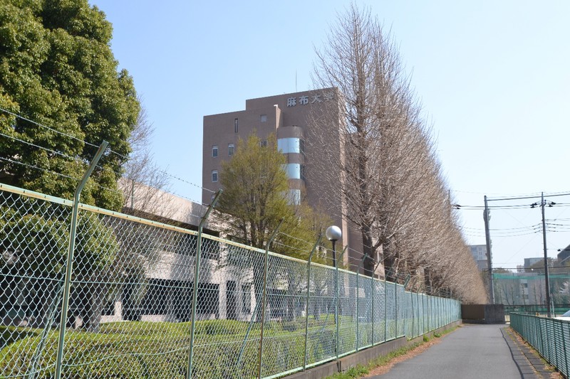 中学校　麻布大学　徒歩30分（中学校）まで2391m