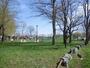 公園　白生公園（公園）まで190m