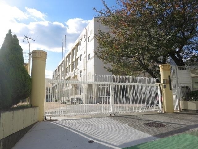 小学校　神戸市立西灘小学校（小学校）まで514m
