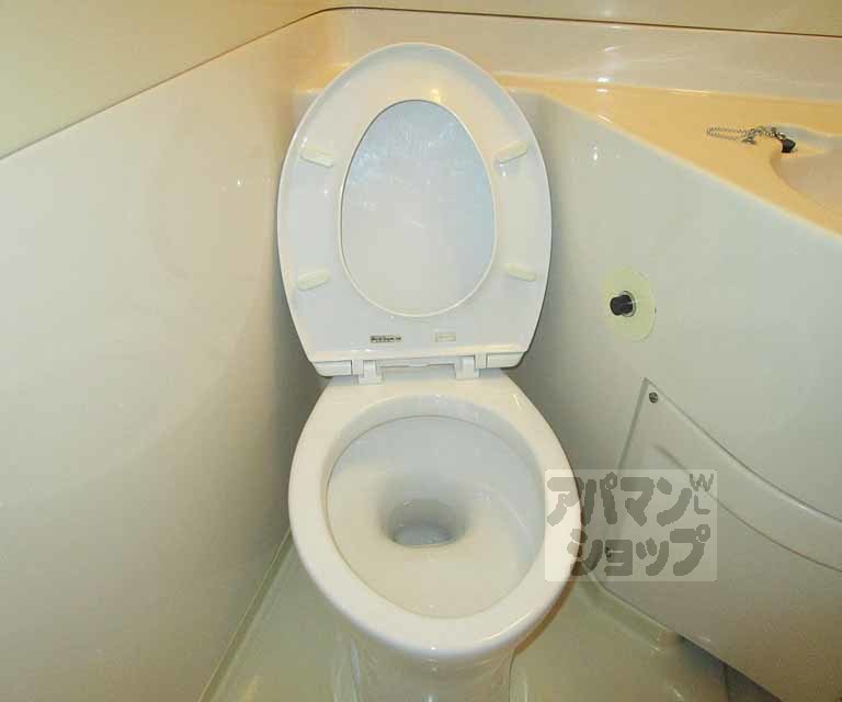 トイレ　３０５号室の写真です。