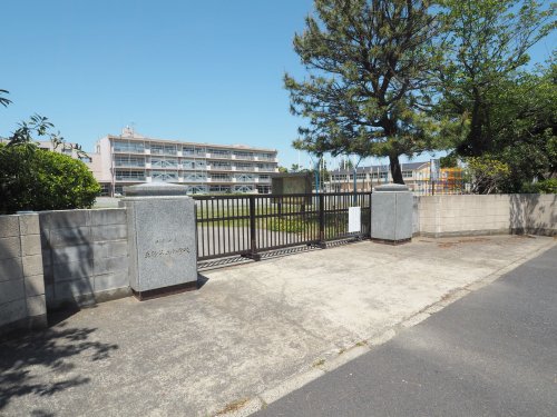 小学校　千葉市立真砂第五小学校（小学校）まで318m