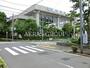 小学校　葛飾区立上平井小学校（小学校）まで306m