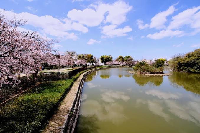 【コート帝塚山中の公園】