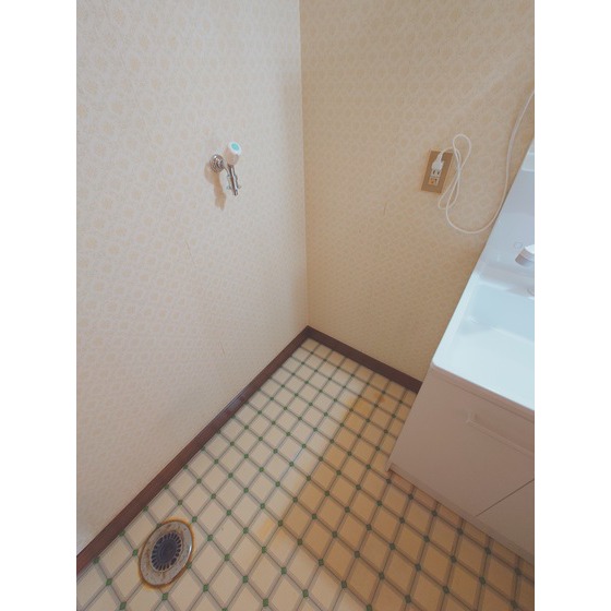 その他　洗濯機スペース