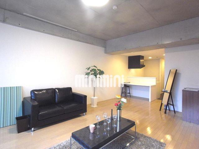 居室・リビング　南向きの日当りの良いお部屋です。