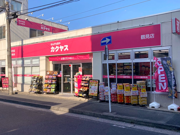 Yours鶴見の周辺写真