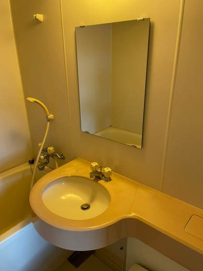 洗面設備　※別号室のお写真です。