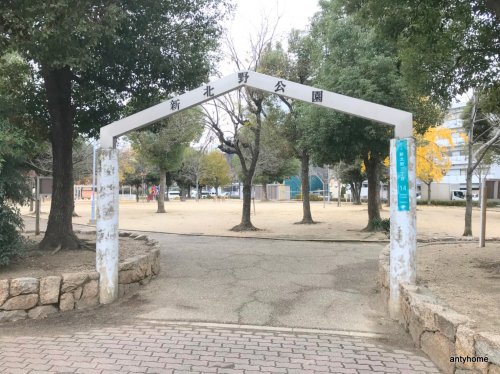 公園　新北野公園（クマ公園）（公園）まで601m