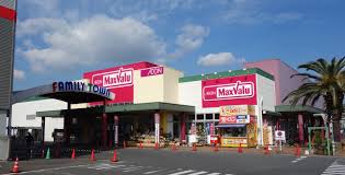 スーパー　Maxvalu(マックスバリュ) 楽々園店（スーパー）まで329m