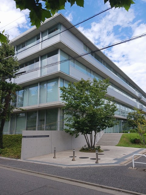大学・短大　東京都市大学（大学・短大）まで300m