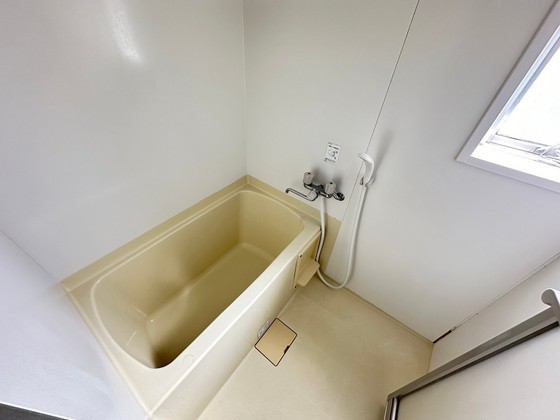 バス・シャワールーム　※別部屋の写真です