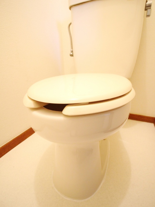 コーポ前田のトイレ写真