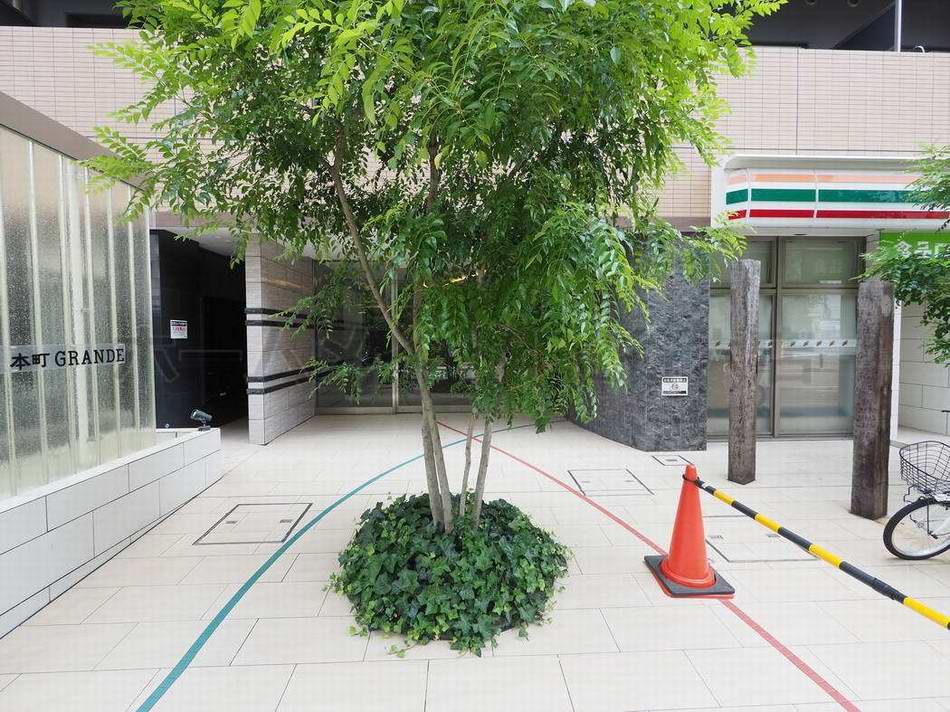 セレニテ本町グランデのその他写真
