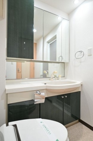 洗面設備　同タイプ別部屋のお写真です