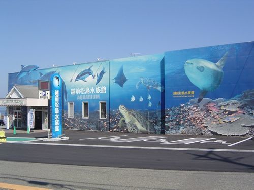 その他　越前松島水族館（その他）まで1700m