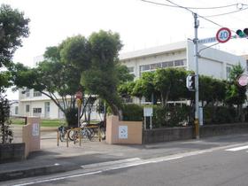 小学校