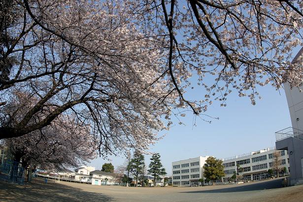 【リブリコウゲン大和の小学校】