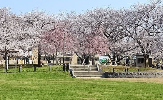 【足立区保木間のアパートの公園】