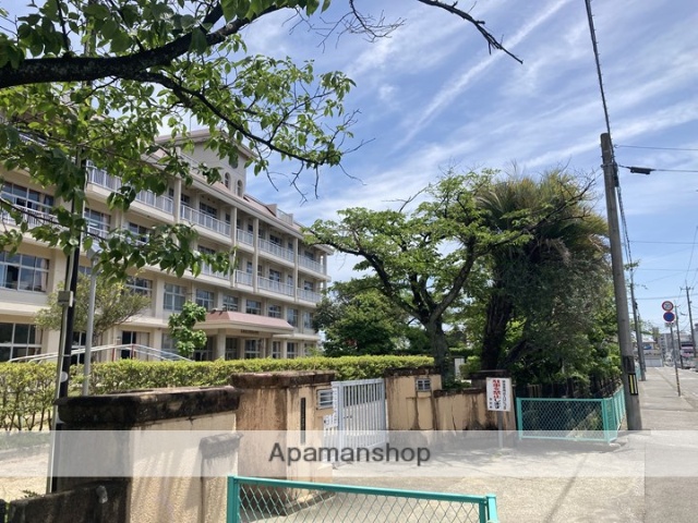 小学校　高知市立昭和小学校（小学校）まで536m