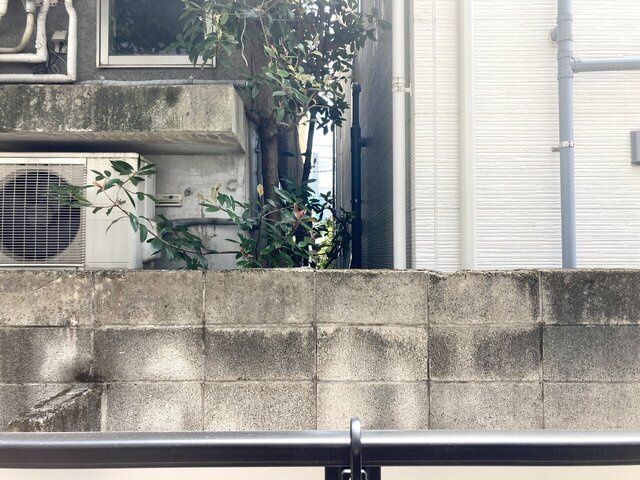 眺望　（別タイプ参考写真）ミハス池袋　豊島区上池袋２