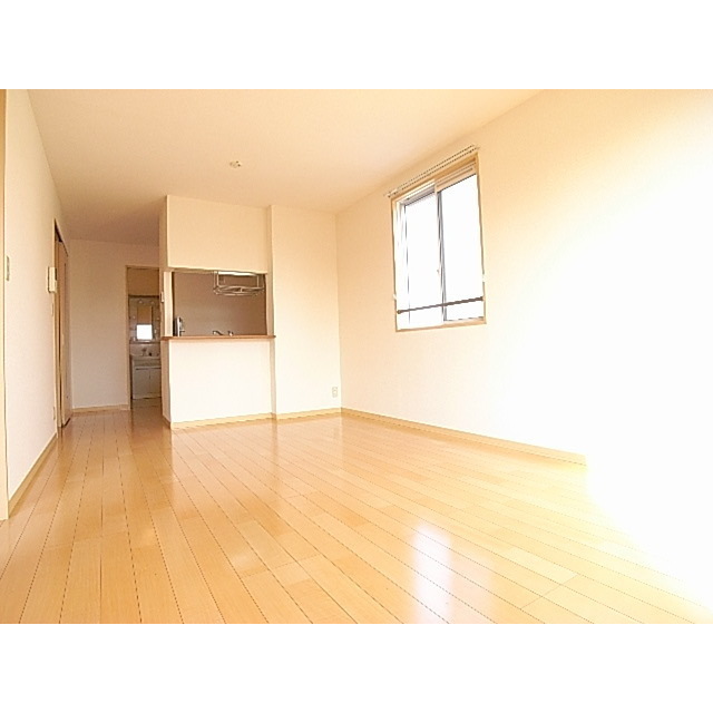 居室・リビング　他号室の写真です