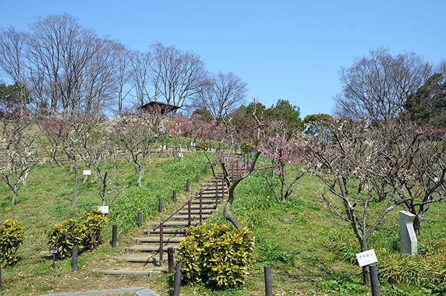 公園　錦織公園（公園）まで2098m