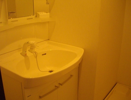 洗面設備　別部屋の写真です。