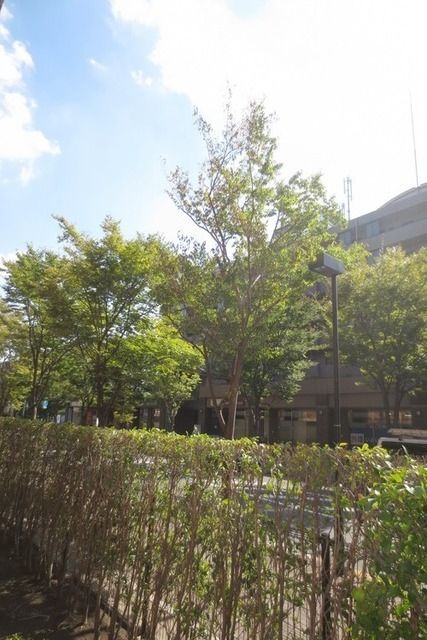 眺望　閑静な住宅街にあります。