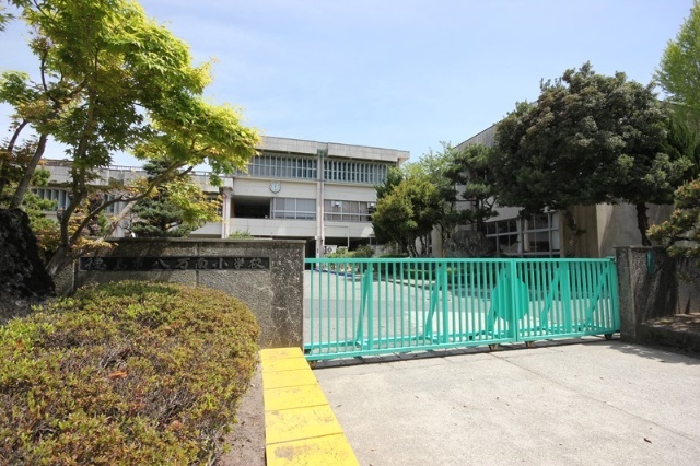 小学校　徳島市立八万南小学校（小学校）まで491m