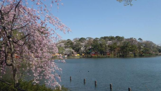 公園　洗足池公園（公園）まで490m