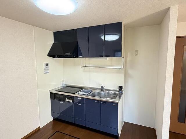 キッチン　システムキッチン　電気調理器