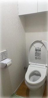 日暮里・舎人ライナー 見沼代親水公園駅 徒歩16分 3階建 築48年のトイレ写真