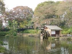 公園　鍋島松濤公園（公園）まで335m
