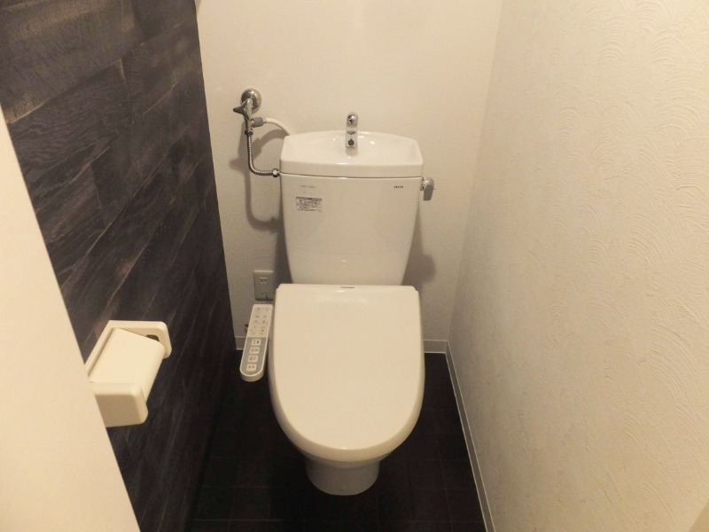アオアクア白石のトイレ写真