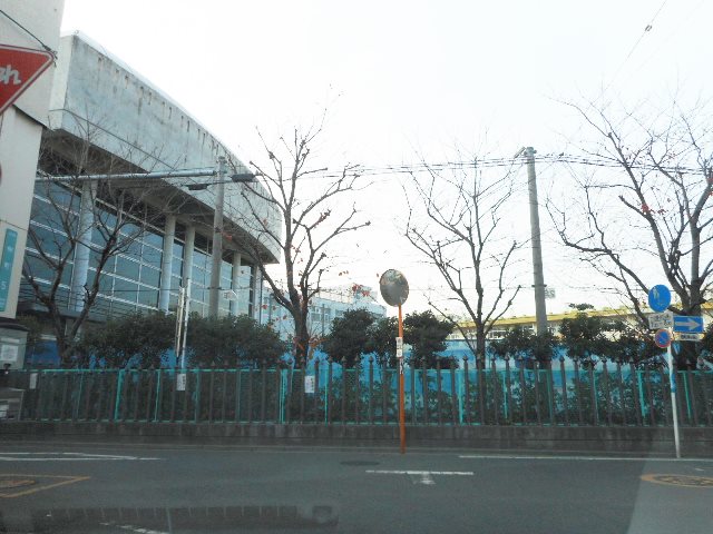 小学校　川口市立仲町小学校（小学校）まで107m