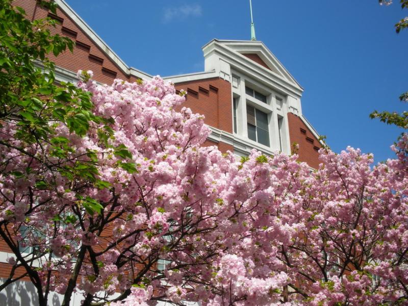 その他　造幣局（その他）まで677m