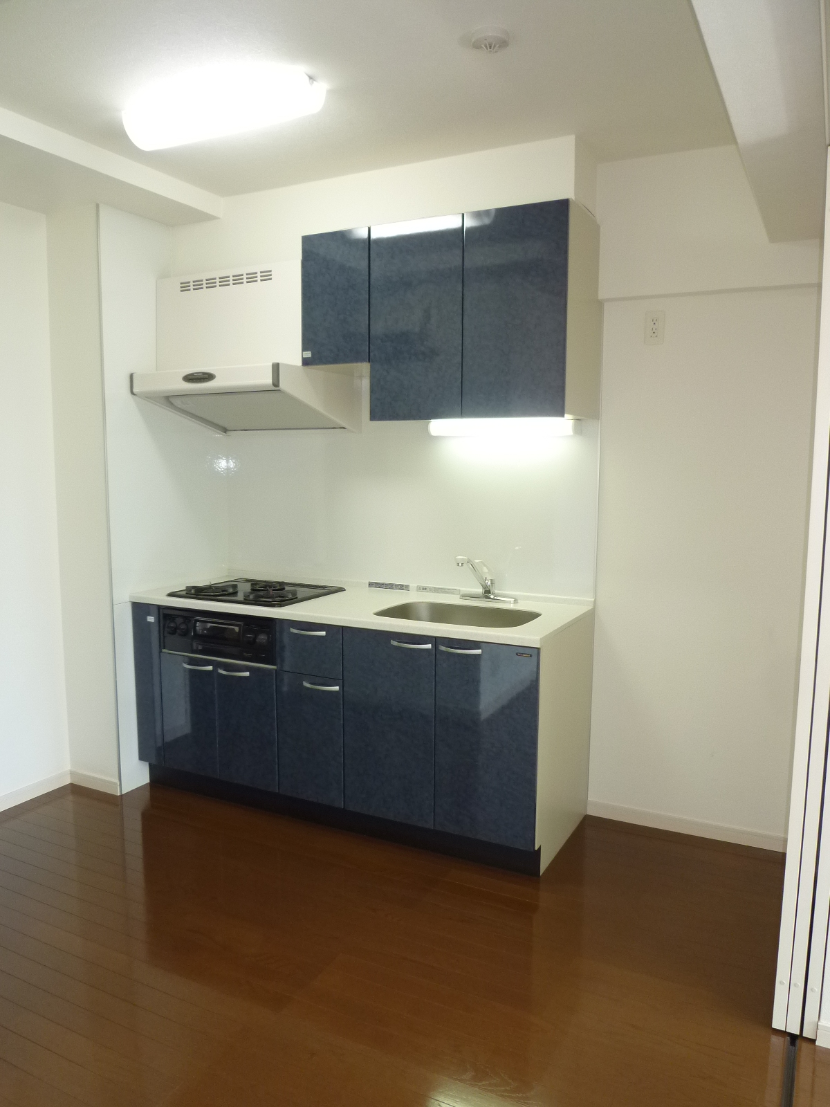 キッチン　分譲なみ？単身者用賃貸なのに、３口コンロ！グリル付き！