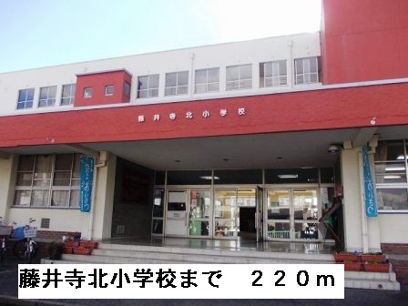 小学校　藤井寺市立藤井寺北小学校（小学校）まで220m