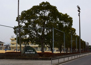 【セジュール濱田IIIの小学校】