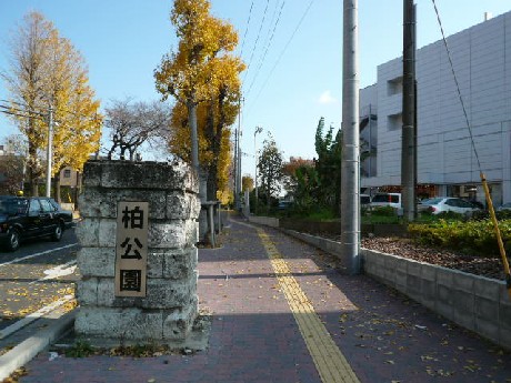 【コンフォース柏の公園】