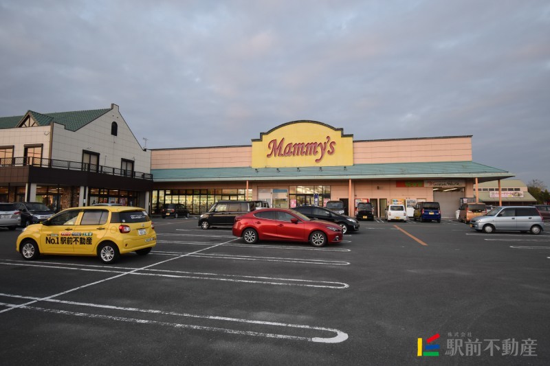 スーパー　マミーズ　柳川店（スーパー）まで1100m